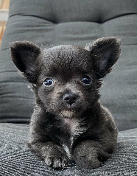 nastyselene naked actress galleries