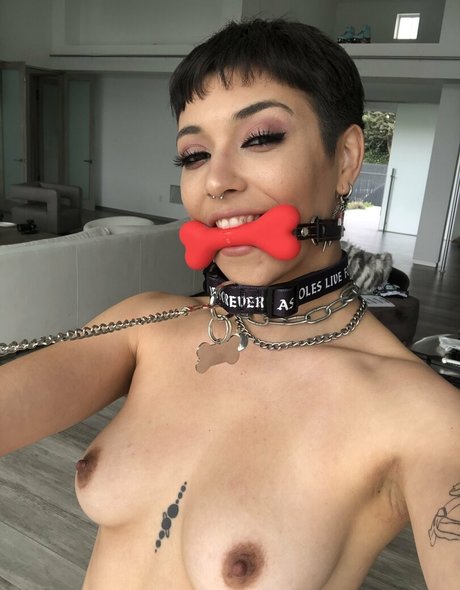 brooklyngrayxxx hot star photo