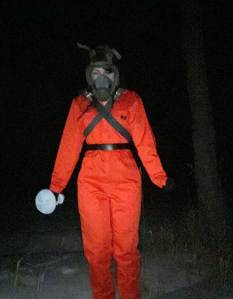 lyraluv beautiful star pictures