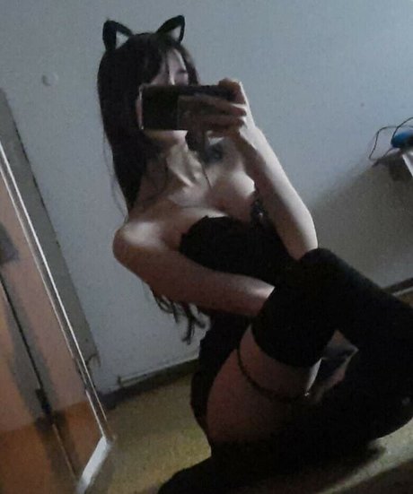 imskitty star perfect img