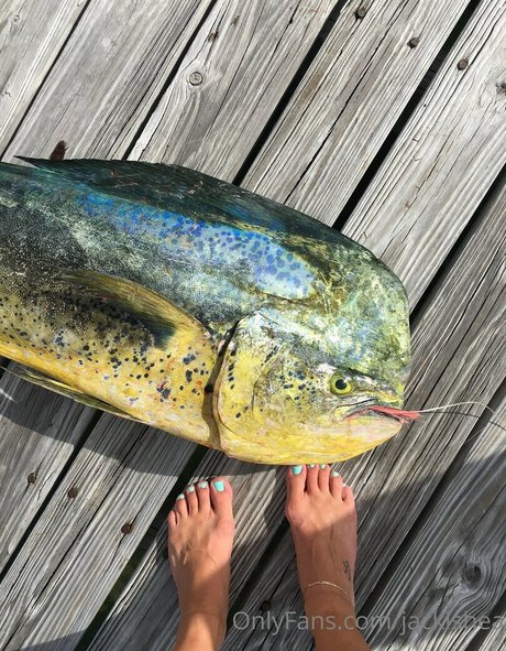 jackishea xxx star archive