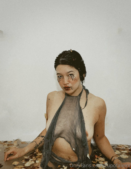 Cupofalexx pretty star archive