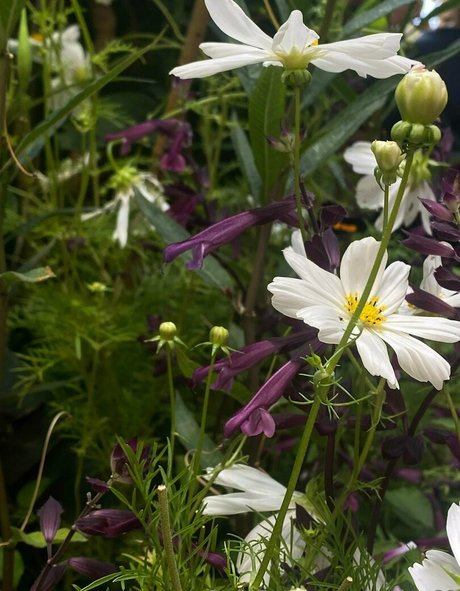 curvy sex onlyfans free xxx pictures