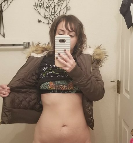 Phaestar model best pic