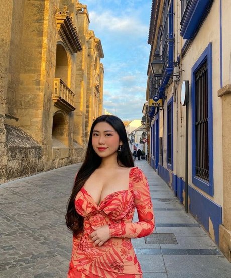 ashl xy perfect model galleries