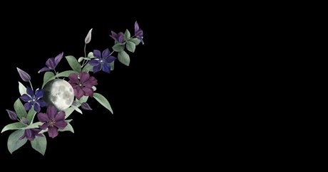 captivatingkaalia sex star picture