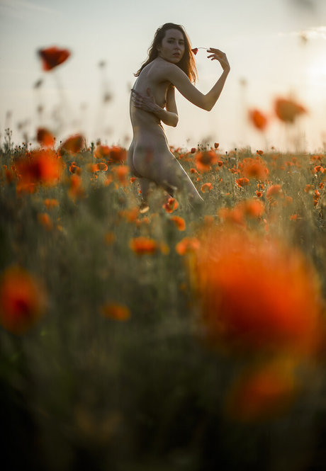 Just Marine pornstar art photos