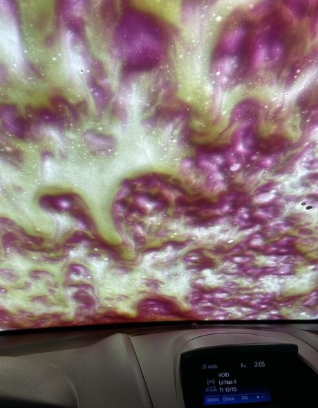 hurricanelexi star pornographic archive