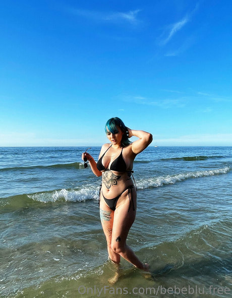 bebeblu free star free photo