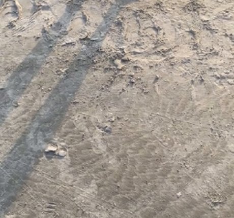 Bella Casada model xxx img