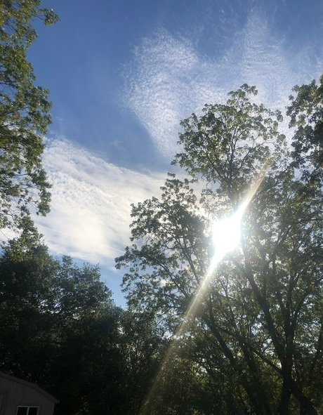 vaginal solo best pornstar img