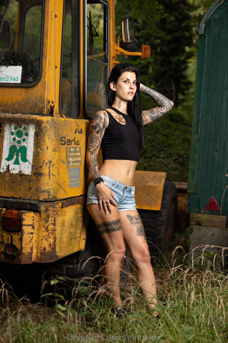 Elina mj pornstar art galleries