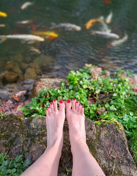 adashi hime star xxx pic