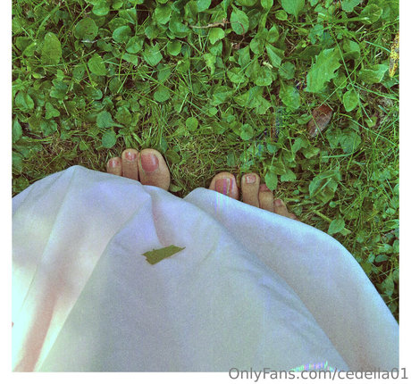 cedella01 adult model photo