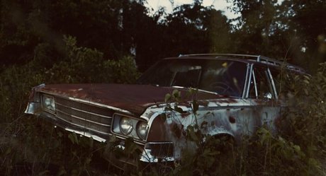 seriouslyzippy perfect pornstar image