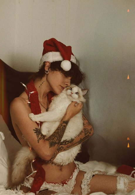 seriouslyzippy pornstar high quality gallery