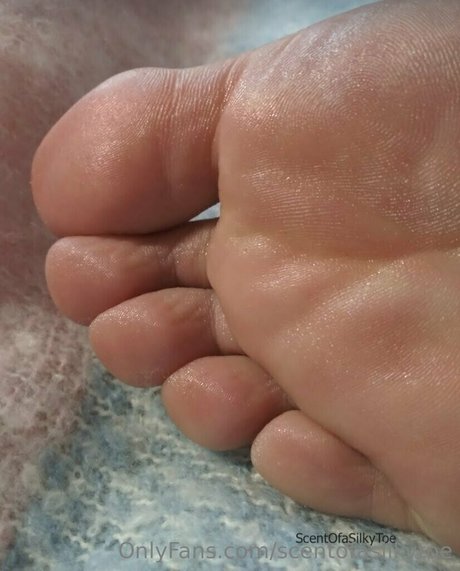 scentofasilkytoe nice model picture