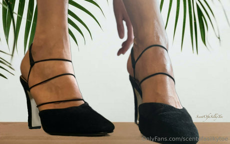 scentofasilkytoe xxx pornstar pics