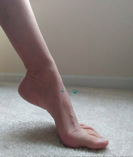 scentofasilkytoe art star pic