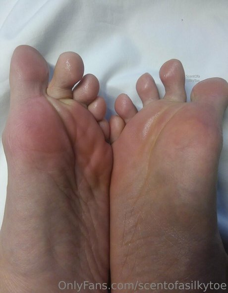 scentofasilkytoe high quality star pic
