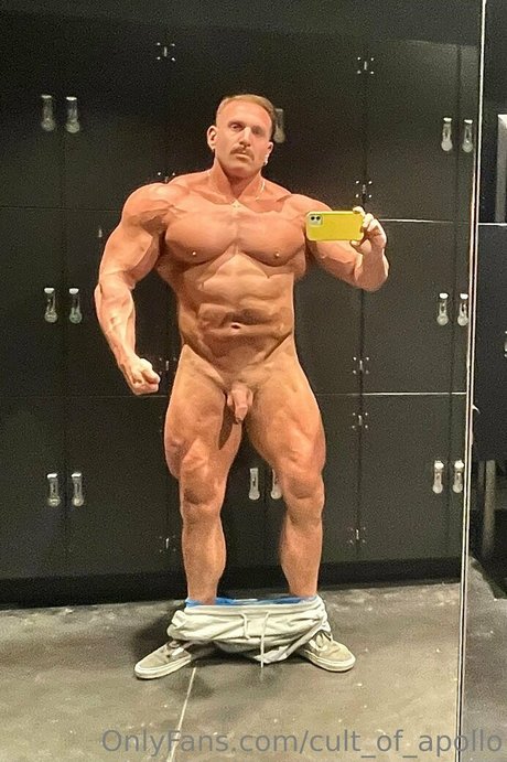 cult of apollo model galleries