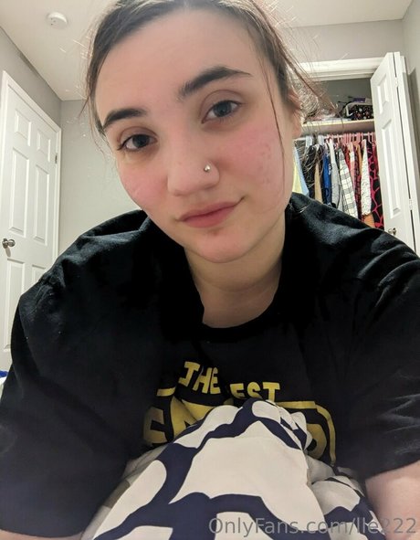 lle222 model perfect picture