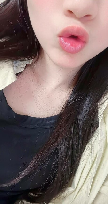 kbhvhxzc star art archive