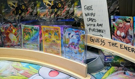 elladonella free high quality model image