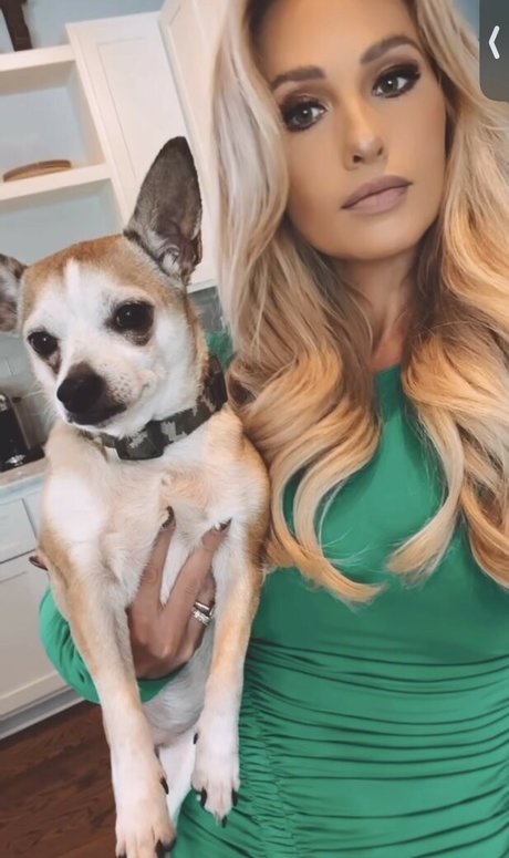 Tomi Lahren exclusive pornstar image