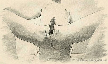 anondb813 model archive