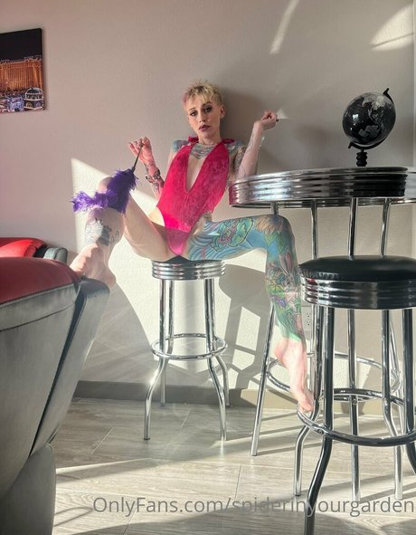 spiderinyourgarden model adult images