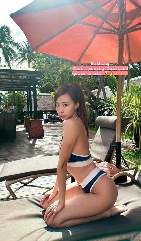 west tung star beautiful galleries