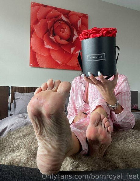 bornroyal feet nice pornstar pic
