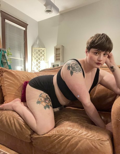 audraobscura beautiful star galleries