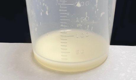 Karazu karazu free model img