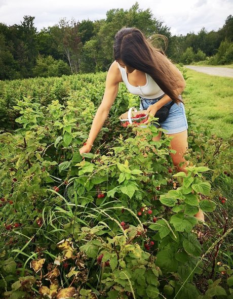 Vanessa Berge star xxx image