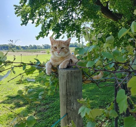 theladylayla model photos