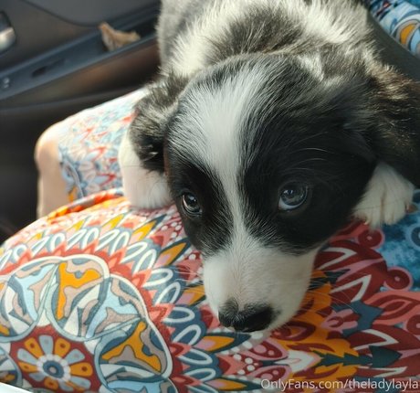 beauty teen onlyfans nude images