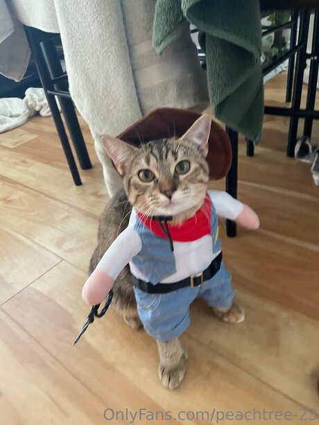 peachtree 23 top pornstar pics