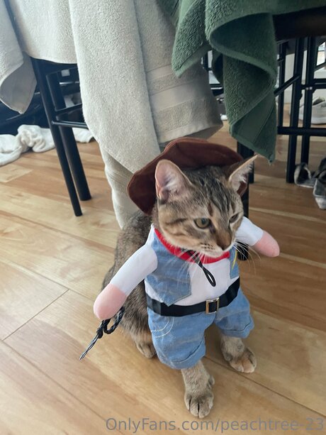 peachtree 23 nude actress image