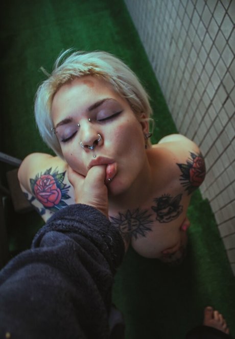 pollyyvla high quality pornstar image