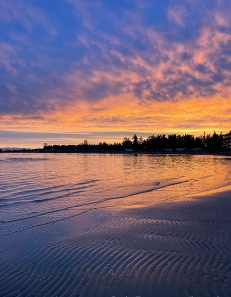 jnorthx star free picture