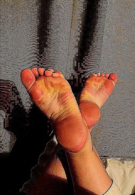 higharches bella pornographic actress archive