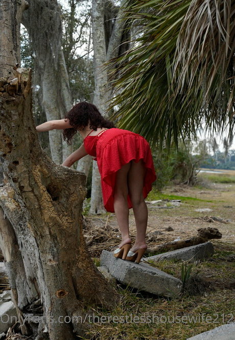 therestlesshousewife2121 hd star pictures