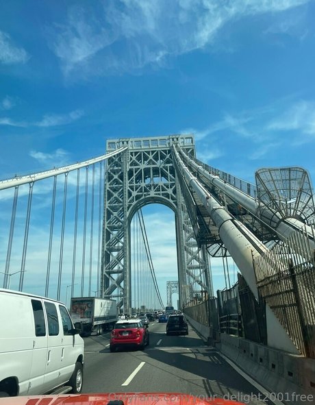 your delight2001free pretty star picture