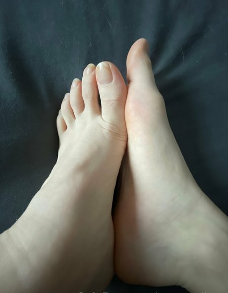 toesonglitter hd model archive