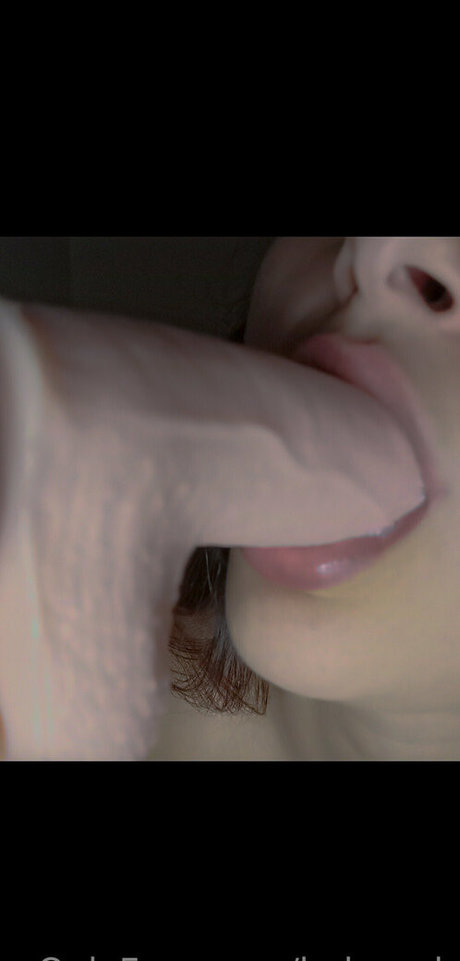 ladypork Profile pic