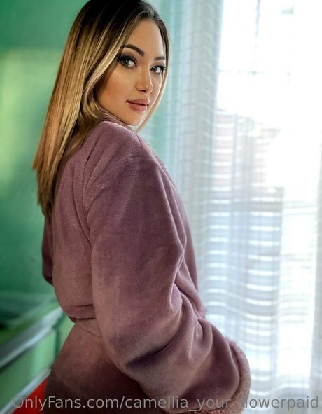 camellia home star beautiful picture