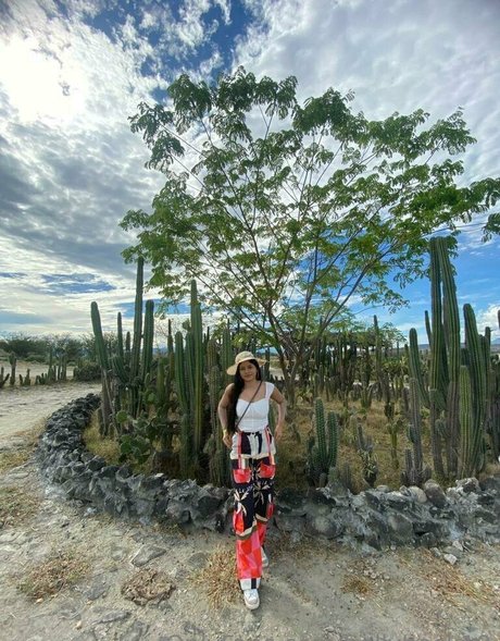 suuuuuki star perfect image