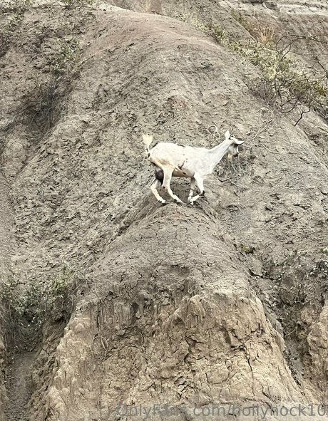 suuuuuki star erotic images